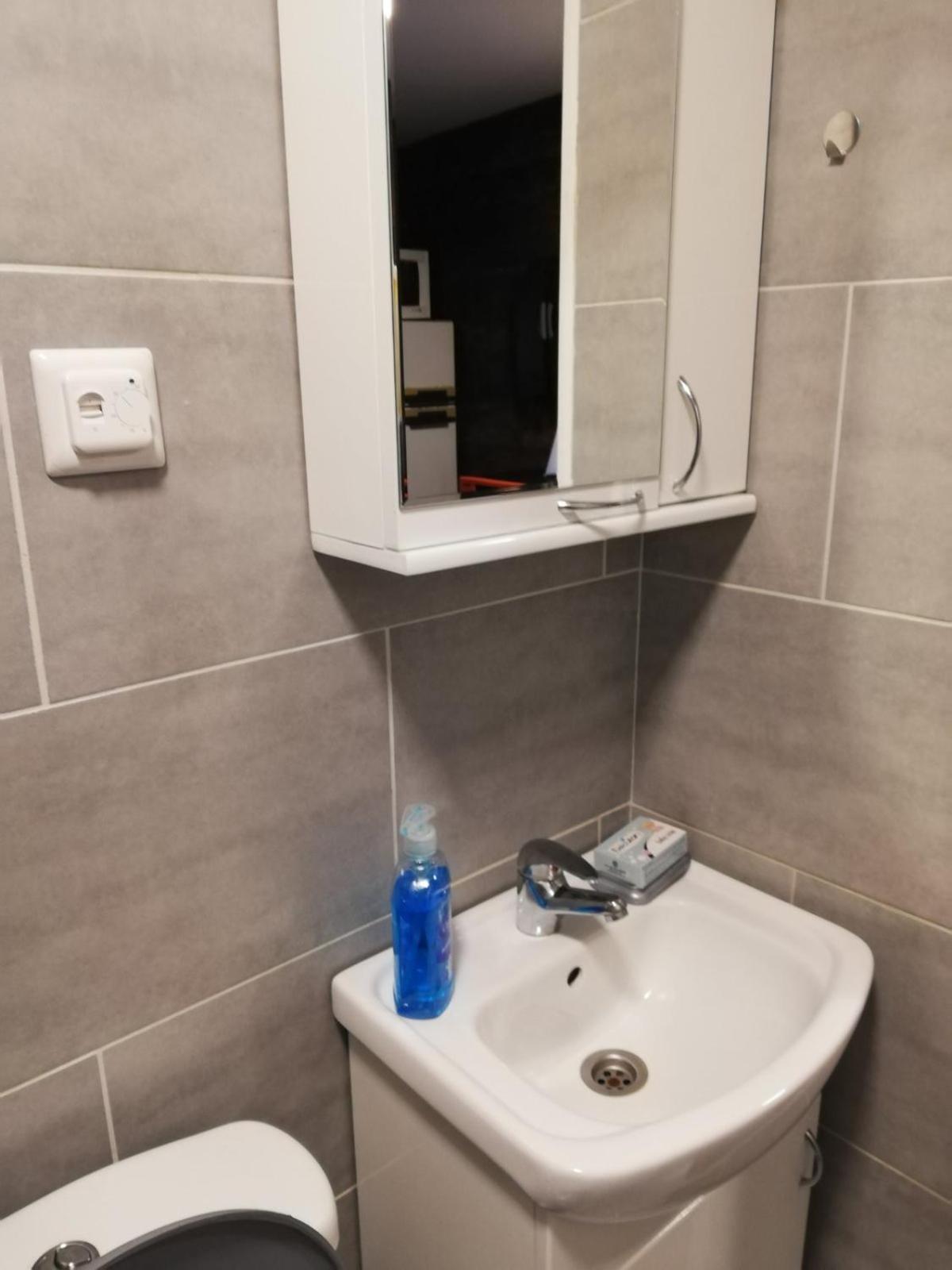 Guča Stara Etno Kuca Radonjicヴィラ 部屋 写真