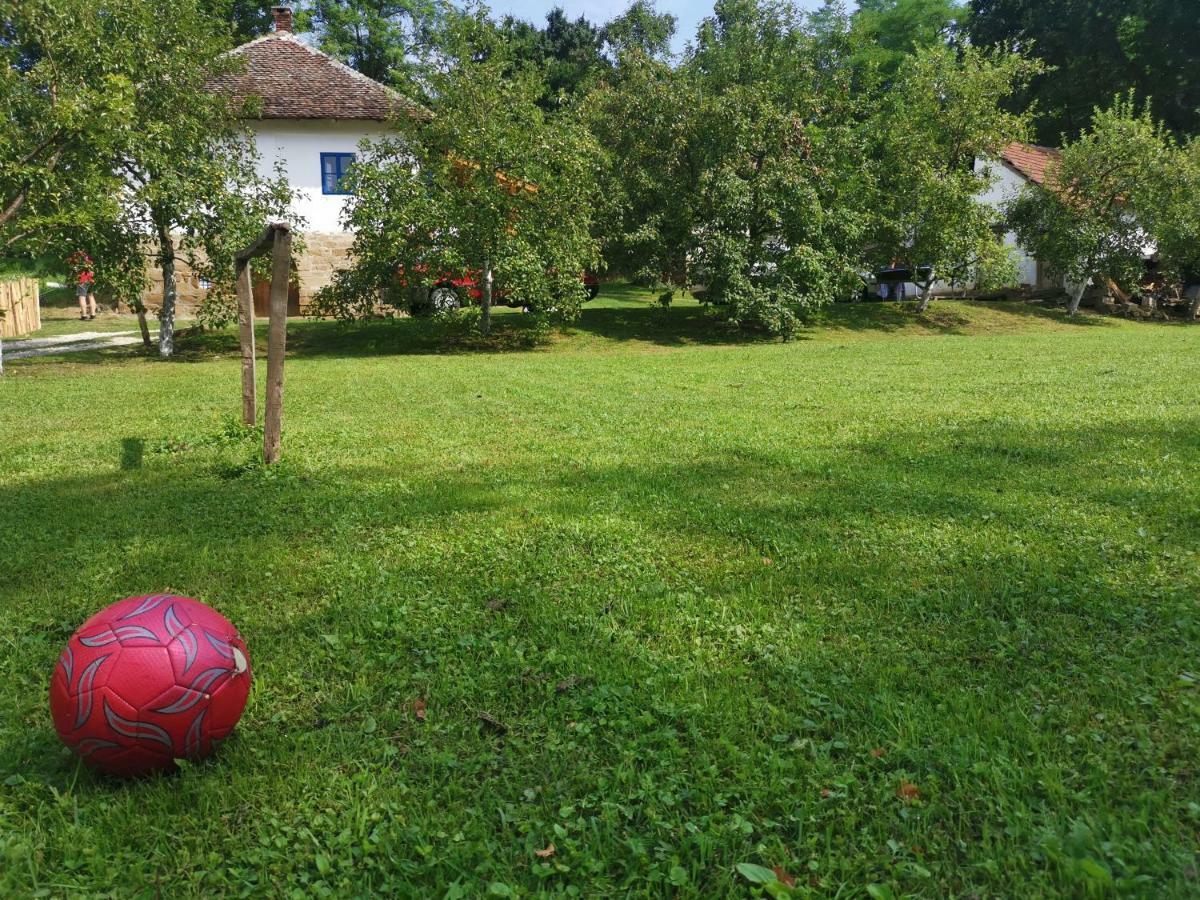 Guča Stara Etno Kuca Radonjicヴィラ エクステリア 写真